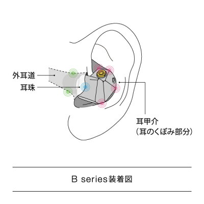 final カナル型 高音質 イヤホン FI-B3B2SSD